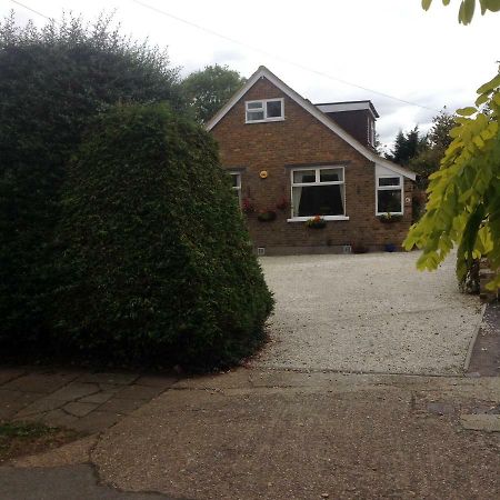 Number Forty One Bed & Breakfast Hillingdon Exterior photo